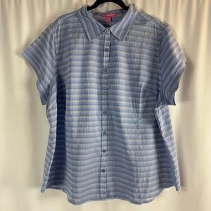 Woman Within Blue Striped Blouse